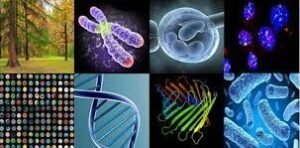 AP Bio Textbook
