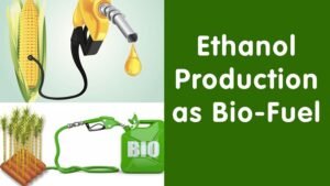 Bio Ethanol 