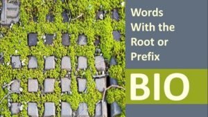 Words with Bio