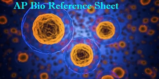AP Bio Reference Sheet: Detailed Guide for Exam Preparation