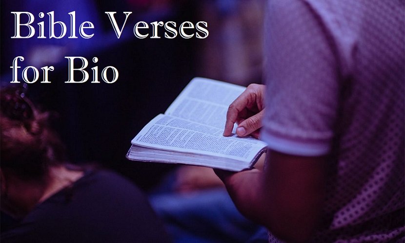 Bible Verses for Bio