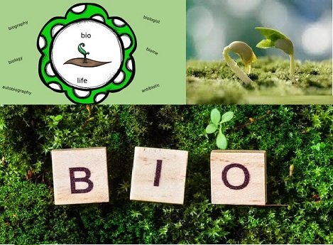Bio Words: Understanding Their Meaning, Usage, and Importance