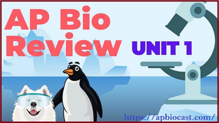 AP Bio Unit 1 Review: Key Concepts, Study Guide, & Exam Tips